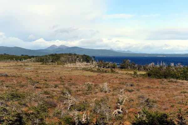 Le Lago Blanco sur l'île de Tierra del Fuego . — Photo