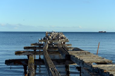 Punta arenas, Macellan Boğazı'nın.