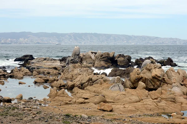 Vina del Mar kayalık plaj.