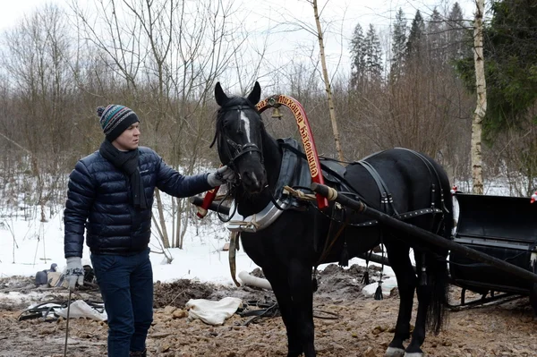 Uno sposo con un cavallo disegnato . — Foto Stock