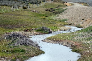   Çalıların Tierra del Fuego ağaçsız parçası Kunduzlar dalları tarafından inşa edilen baraj, .