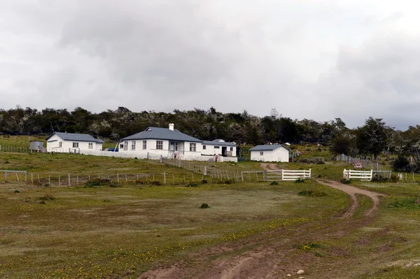 Turisztikai található Tierra del Fuego. — Stock Fotó