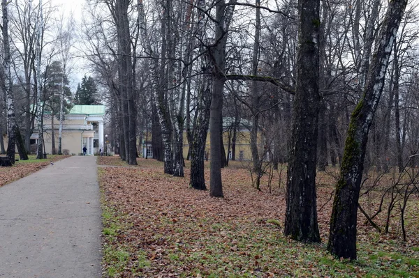 Lenin Hills parkta sonbahar manzara — Stok fotoğraf