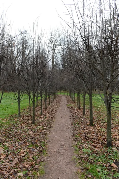 Podzimní Park v Leninskiye Gorki — Stock fotografie