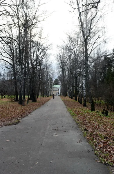 Autumn Park in Leninskiye Gorki. — Stock Photo, Image