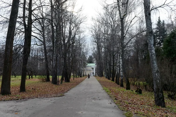 Sonbahar Park Leninskiye duvara yakın soğutucu camekan içinde. — Stok fotoğraf