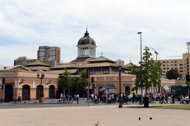 Şili, Santiago başkenti türleri.