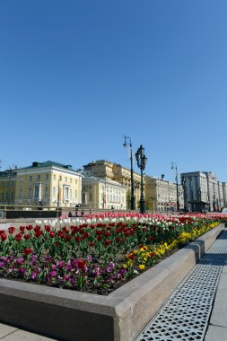  Lale modacı Moskova Meydanı.