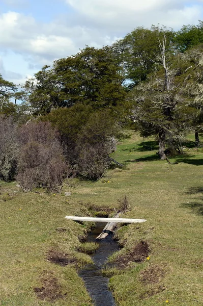 Fluxo em Tierra Del Fuego . — Fotografia de Stock