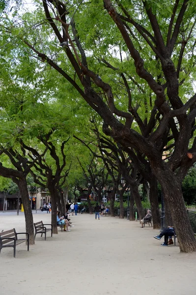 Park barcelonában. — Stock Fotó