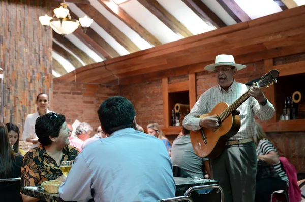 Guitarist at the restaurant in Santiago. — Stock Photo, Image