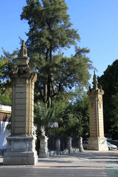 Seville Spagna Luglio 2011 Nel Centro Della Vecchia Siviglia Spagna — Foto Stock