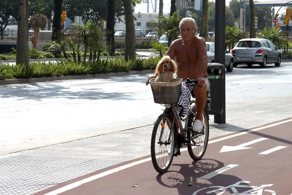 Malaga Spain July 2011 Unknown Elderly Cyclist Rides Dog Street — Stock Photo, Image