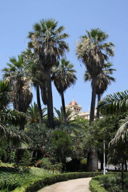  MALAGA, SPAIN-JULY 24 Temmuz 2011: Akdeniz kıyısındaki Malaga tatil beldesindeki bir park