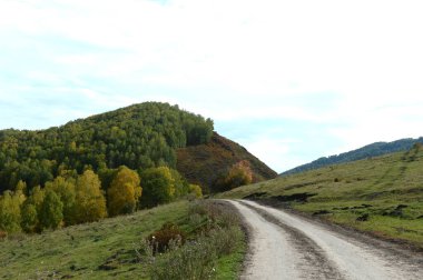 ALTAI REJYONU, RUSYA - 16 Eylül 2020: Batı Sibirya. Altai Bölgesi 'nin Charyshsky bölgesindeki Foothill manzarası