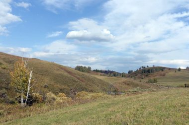 ALTAI REJYONU, RUSYA - 16 Eylül 2020: Batı Sibirya. Altai Bölgesi 'nin Charyshsky bölgesindeki Foothill manzarası