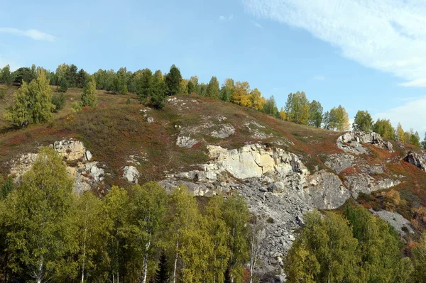 Altai Förordningen Ryssland September 2020 Västra Sibirien Bergslandskap Distriktet Charyshsky — Stockfoto