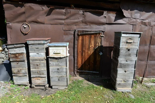Altai Region Russland September 2020 Bienenstöcke Einem Bienenhaus Dorf Charyshskoye — Stockfoto