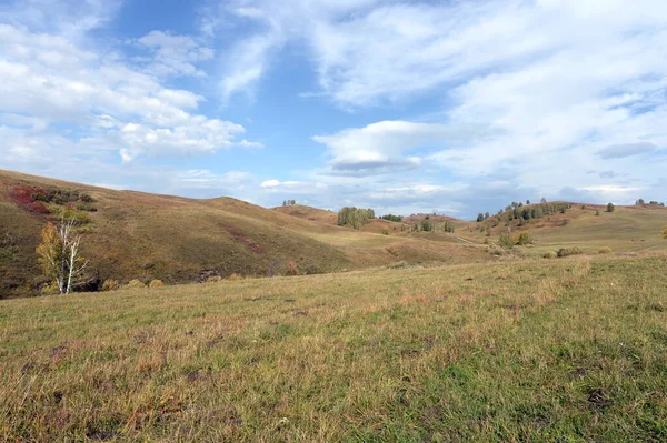 Altai Region Russia September 2020 Western Siberia Foothill Landscape Charyshsky — Stock Photo, Image