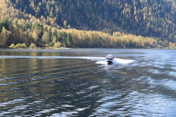 Altai Köztársaság Oroszország 2020 Szeptember Csónak Teletskoye Tavon Altai Köztársaság — Stock Fotó