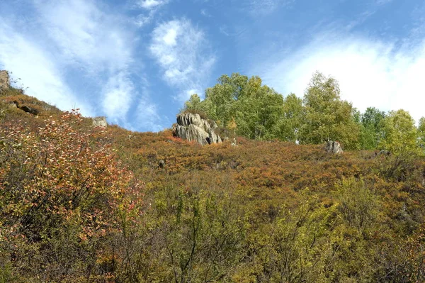 Altai Region Russland September 2020 Westsibirien Berglandschaft Charyshsky Bezirk Des — Stockfoto