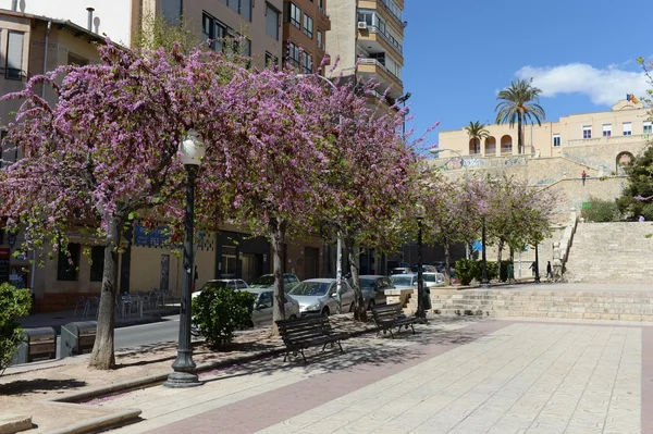 Alicante - die Stadt in der valensiysky autonomen Region — Stockfoto