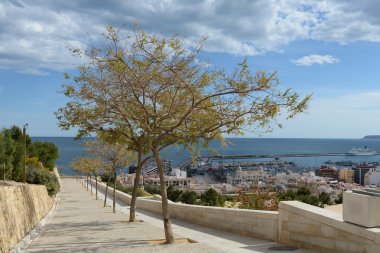 Santa barbara kale Alicante
