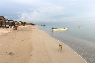 Guajira.