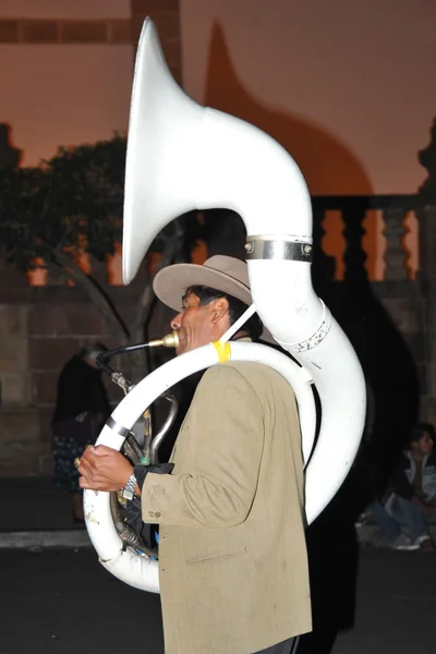 The inhabitants of the city during the carnival in honor of the virgin of Guadalupe. — Stock Photo, Image