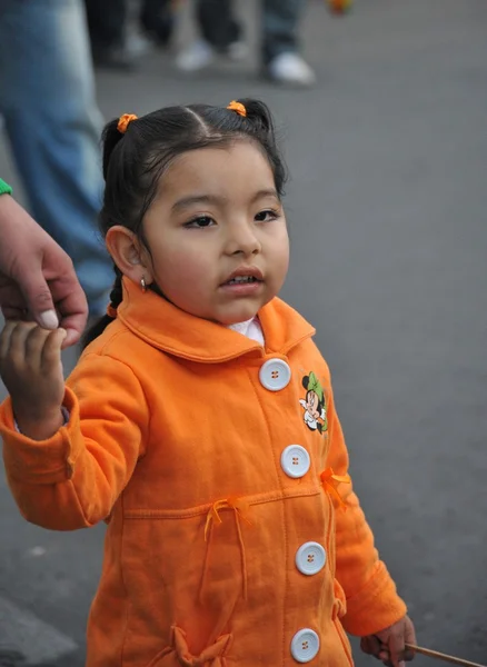 The inhabitants of the city during the carnival in honor of the virgin of Guadalupe. — Stock Photo, Image