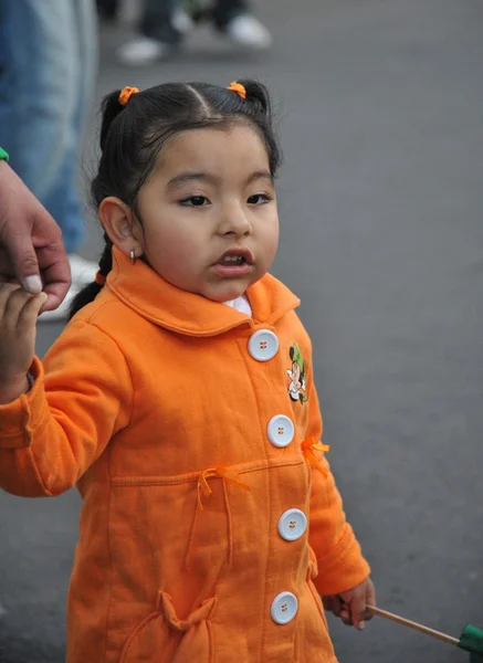 The inhabitants of the city during the carnival in honor of the virgin of Guadalupe. — Stock Photo, Image