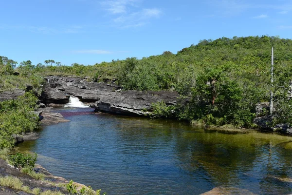 Canio Cristales mountain river. Colombia — Stock Photo, Image