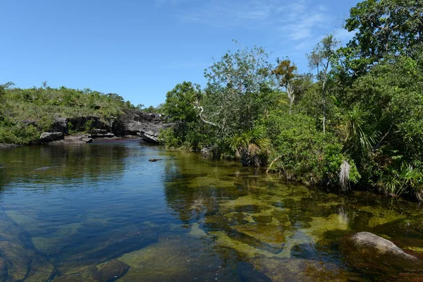 Canio Cristales mountain river. Colombia — Stock Photo, Image