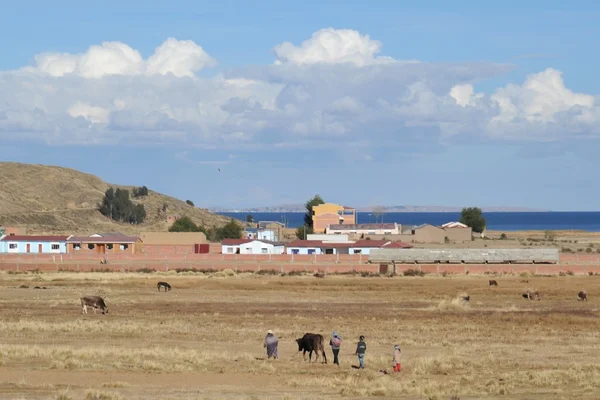 Lago di montagna Titicaca . — Foto Stock