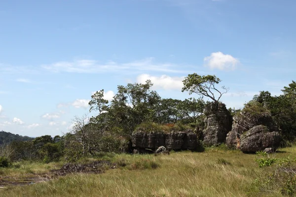 Serranía-de-la-Lindos. Colombia — Foto de Stock