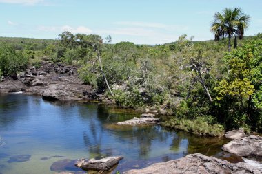 Canio, cristales, dağ, nehir. Kolombiya