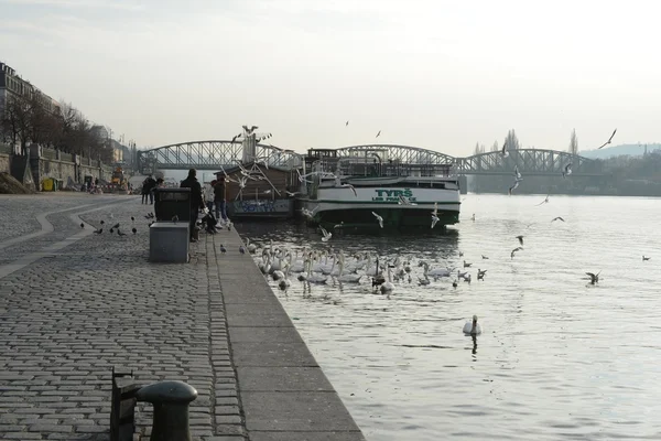 Prague. Vltava River — Stock Photo, Image