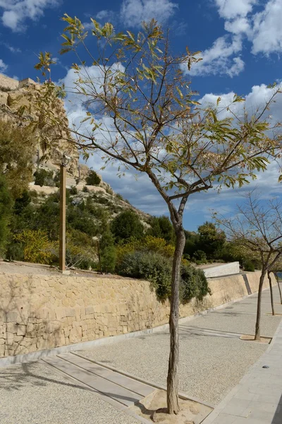 Forteresse de Santa Barbara à Alicante — Photo