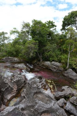 Canio, cristales, dağ, nehir. Kolombiya
