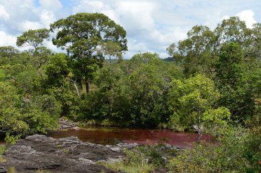Canio, cristales, dağ, nehir. Kolombiya
