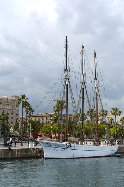 Barcelonés — Foto de Stock