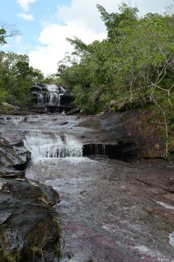 Canio, cristales, dağ, nehir. Kolombiya