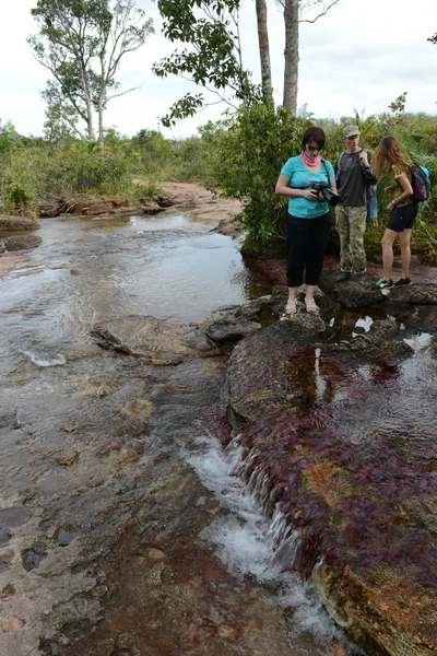 Tourists on a mountain river Canio Cristales. — Stock Photo, Image