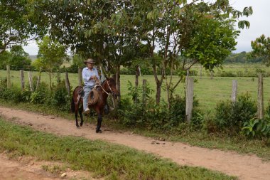 Yerliler şehrin sokaklarında.
