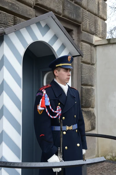 Prag Kalesi içinde Cumhurbaşkanlığı Sarayı'nda şeref kıtası korur. — Stok fotoğraf