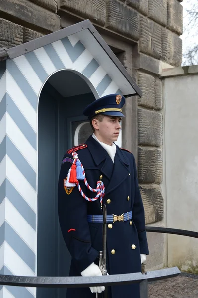 La guardia d'onore custodisce il palazzo presidenziale nel castello di Praga . — Foto Stock