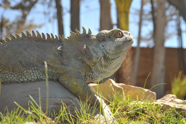 Great dinosaur Park, where traces of these ancient reptiles — Stock Photo, Image