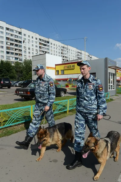 警察官のパトロール犬と通り — ストック写真