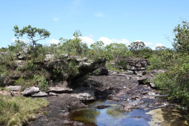 Canio Cristales nehir dağ
