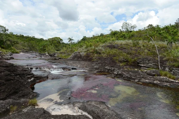 Canio Cristales nehir dağ — Stok fotoğraf